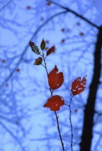 �ٲ��ѻ������������