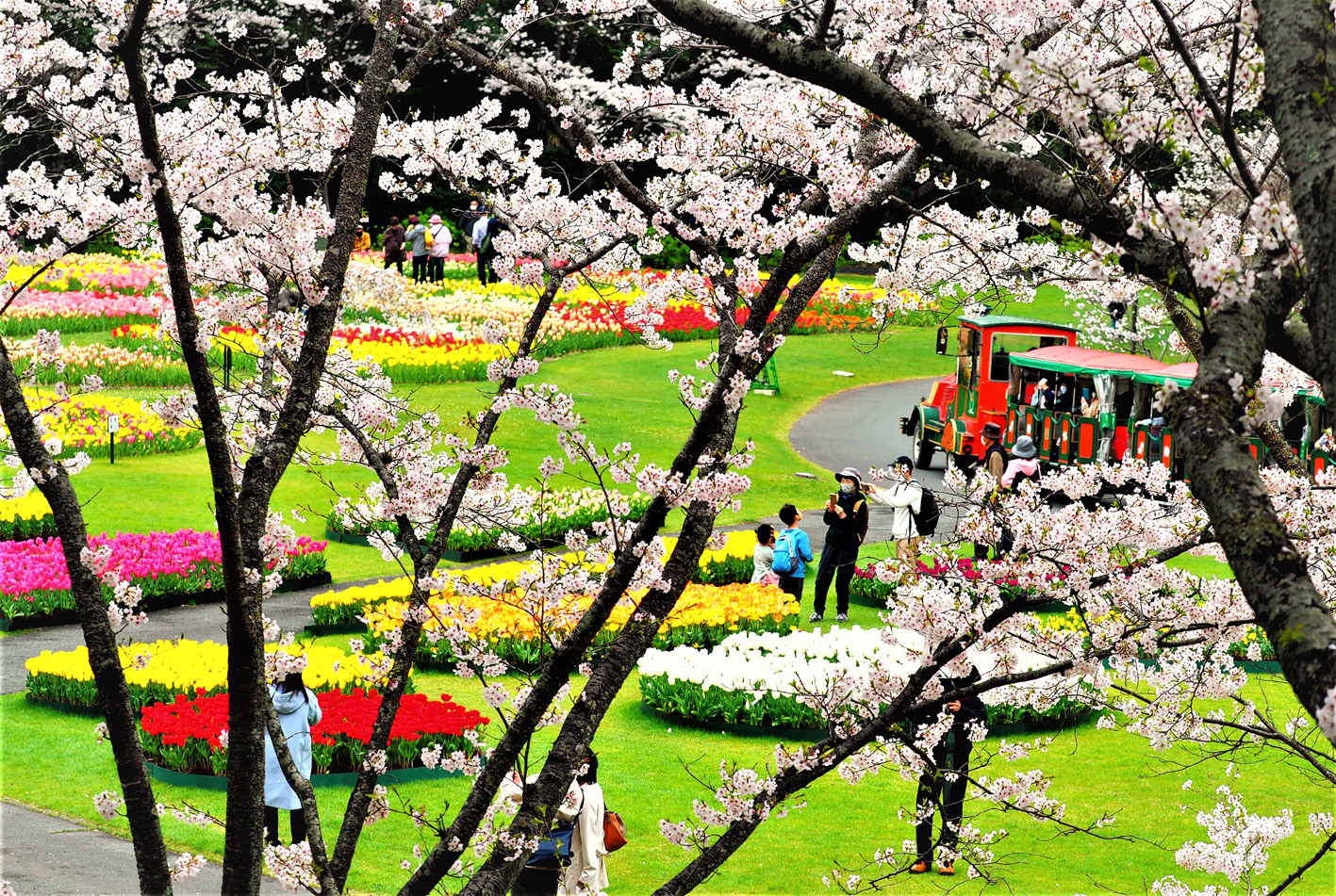 浜松支部２１ ４月例会 全日本写真連盟静岡県本部