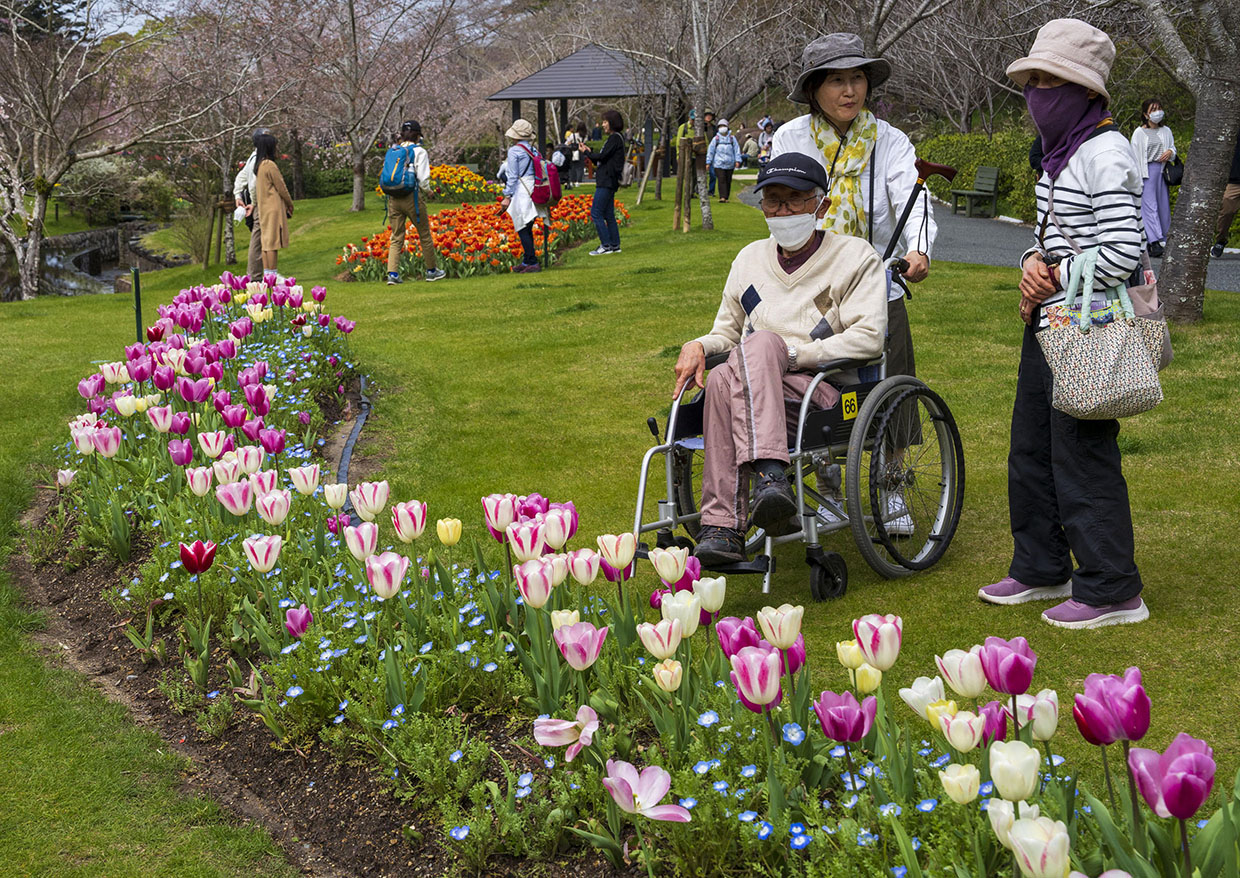 ＜静岡の今＞「浜名湖花博2024開幕」服部京子 – 全日本写真連盟静岡県本部